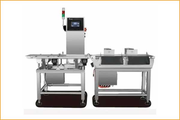 Weighing belt conveyor Manufacturers in Pune